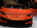 Copyright Gerard Sanchez-Allais - GIMS 2019 - Geneva International Motor Show _9484