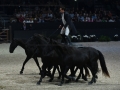 Longines Equitalyon 2022 Lyon Eurexpo_6895