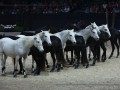 Longines Equitalyon 2022 Lyon Eurexpo_6944