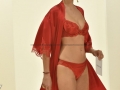 Salon International de la Lingerie Paris 21-23 Janvier 2023 - Lise Charmel et Antigel _2794