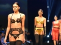 0044 Salon International de la lingerie 2017 - Defile Dualism_8424_Akiko Ogawa_Copyright Gerard Sanchez-Allais .jpeg