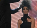 Show Intercoiffure France - Beaute Selection Lyon 2016_2806_Copyright Gerard Sanchez-Allais.jpeg