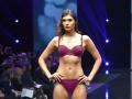 0164 Salon International de la lingerie 2017 - Defile The Selection_0996_Copyright Gerard Sanchez-Allais Simone Perele.jpeg